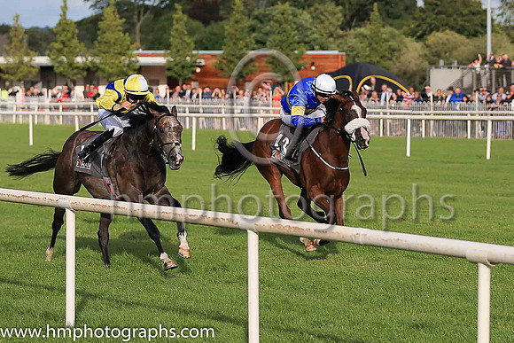 2nd Darkolva and D O'Brien ( 1 , royal blue, yellow chevrons ) Trainer - Joseph P O'Brien , Owner - J Carthy