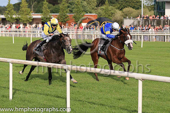 2nd Darkolva and D O'Brien ( 1 , royal blue, yellow chevrons ) Trainer - Joseph P O'Brien , Owner - J Carthy