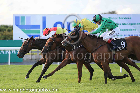 3rd Botanical Lady and C D Hayes ( 9 , emerald, black seams ) Trainer - H Rogers , Owner - Mrs M Rogers
