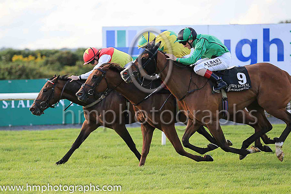 3rd Botanical Lady and C D Hayes ( 9 , emerald, black seams ) Trainer - H Rogers , Owner - Mrs M Rogers