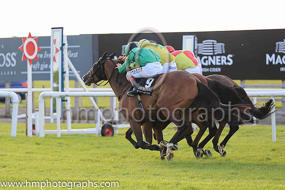 3rd Botanical Lady and C D Hayes ( 9 , emerald, black seams ) Trainer - H Rogers , Owner - Mrs M Rogers