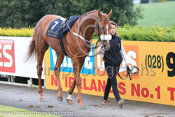 1st The Tartan Spartan and R P Whelan ( 7 , black, red epaulettes ) Trainer - J P Shanahan , Owner - Thistle Bloodstock Limited