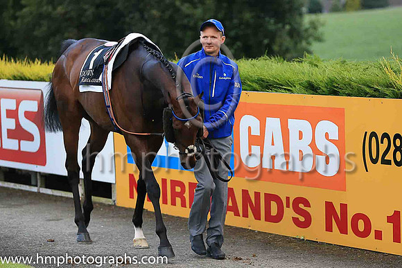 2nd Twilight Payment and K J Manning ( 1 , royal blue, dark blue seams ) Trainer - J S Bolger , Owner - Godolphin
