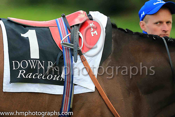 2nd Twilight Payment and K J Manning ( 1 , royal blue, dark blue seams ) Trainer - J S Bolger , Owner - Godolphin