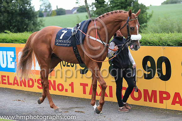 1st The Tartan Spartan and R P Whelan ( 7 , black, red epaulettes ) Trainer - J P Shanahan , Owner - Thistle Bloodstock Limited