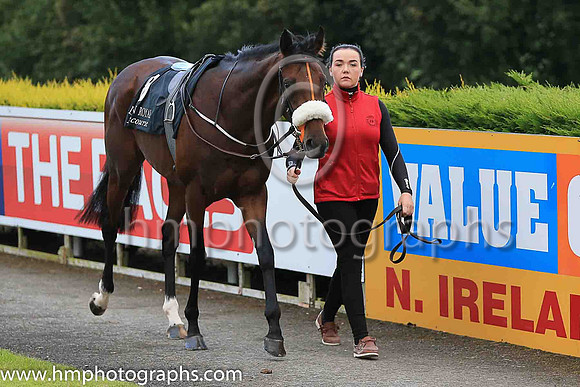 3rd Grandee and C O'Donoghue ( 8 , white, red cross sashes ) Trainer - Mrs J Harrington , Owner - Mill House LLC