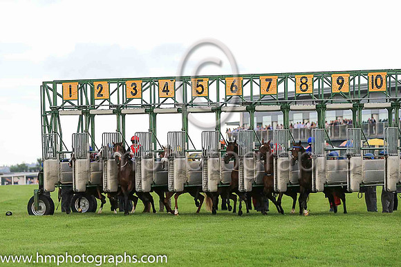3rd Grandee and C O'Donoghue ( 8 , white, red cross sashes ) Trainer - Mrs J Harrington , Owner - Mill House LLC