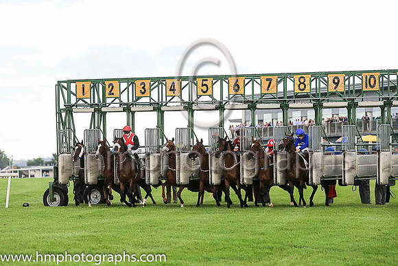 3rd Grandee and C O?Donoghue ( 8 , white, red cross sashes ) Trainer - Mrs J Harrington , Owner - Mill House LLC