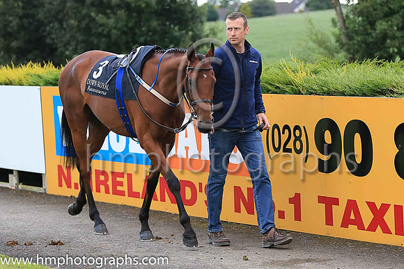 5th Laws Of Spin and P J Smullen ( 3 , emerald green, orange epaulettes ) Trainer - W P Mullins , Owner - Ballylinch Stud