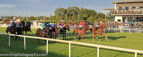 3rd Carrigeen Prince and D W O'Connor ( 2 , purple, yellow stars ) Trainer - G Donnelly , Owner - The Prince Partnership