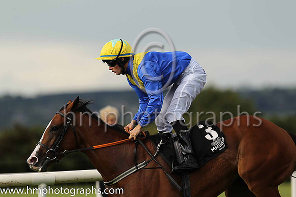 6th Camacho Dancer and R P Downey ( 3 , royal blue, yellow chevrons ) Trainer - K H Clarke , Owner - Phoenix Noble Syndicate