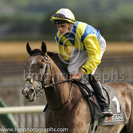 2nd Darkolva and D O'Brien ( 1 , royal blue, yellow chevrons ) Trainer - Joseph P O'Brien , Owner - J Carthy
