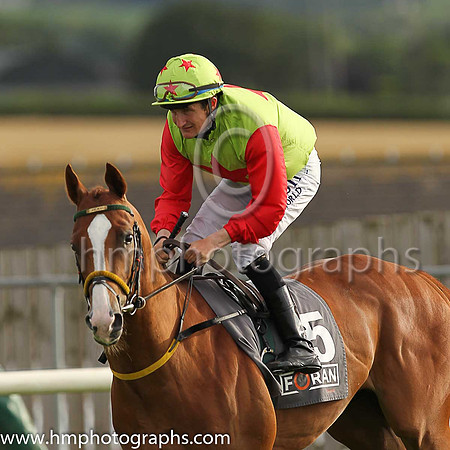 9th Art Of Unity and S Foley ( 5 , light green, red star ) Trainer - N Meade , Owner - Munnelly Support Services Ltd