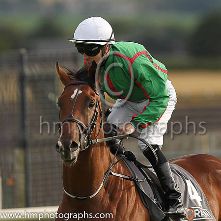 6th Sneem and C O.Donoghue ( 4 , emerald green, red seams ) Trainer - Mrs J Harrington , Owner - Miss Kate Harrington