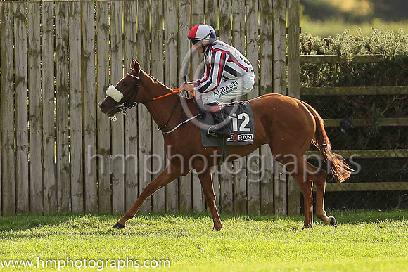 8th Blue Petal and C D Hayes ( 12 , nacy blue, white stripes ) Trainer - K Prendergast , Owner - Mrs Kevin Prendergast