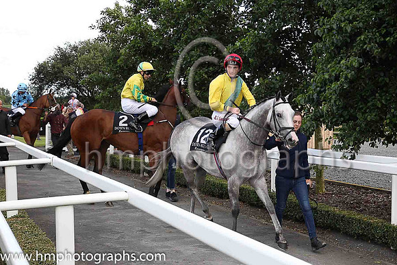 7th Miss Florence and K J Leonard ( 12 , yellow, green sash ) Trainer - T M Walsh , Owner - Mrs Helen Walsh