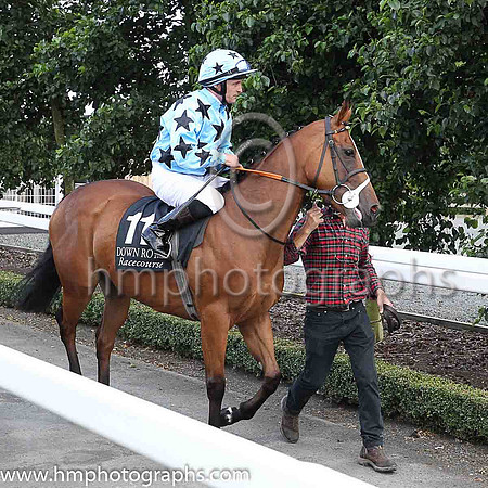 12th Blockstar Girl and M A Gallagher ( 11 , light blue, black stars ) Trainer - John Feane , Owner - Michael O?Mahony