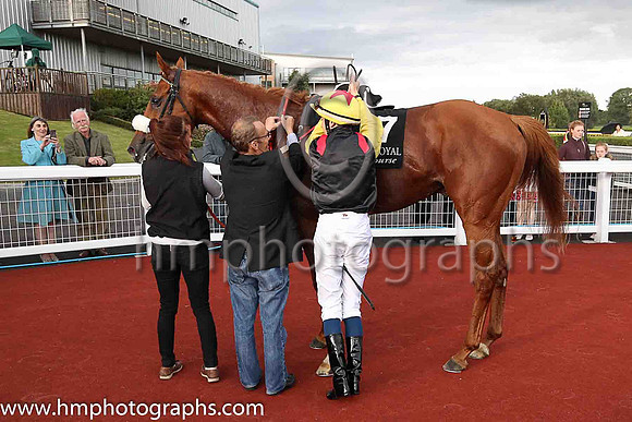 1st The Tartan Spartan and R P Whelan ( 7 , black, red epaulettes ) Trainer - J P Shanahan , Owner - Thistle Bloodstock Limited