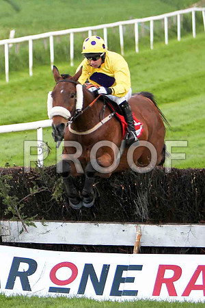 Rossbeigh , 8th, Jockey - A P Thornton - FT8E3099-e