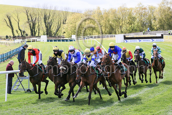 01st Gladiatorial  and ( 5 , blue, red star ) Trainer - N C Kelly , Owner - William M Brown