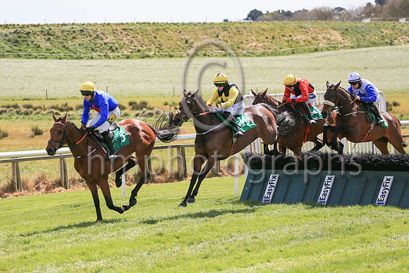 01st Gladiatorial  and ( 5 , blue, red star ) Trainer - N C Kelly , Owner - William M Brown