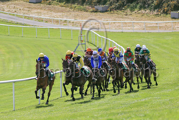 01st Gladiatorial  and ( 5 , blue, red star ) Trainer - N C Kelly , Owner - William M Brown