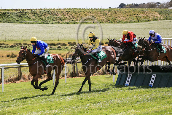 01st Gladiatorial  and ( 5 , blue, red star ) Trainer - N C Kelly , Owner - William M Brown
