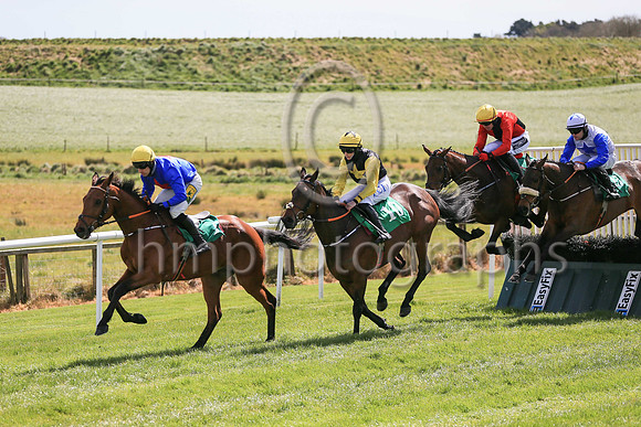 01st Gladiatorial  and ( 5 , blue, red star ) Trainer - N C Kelly , Owner - William M Brown