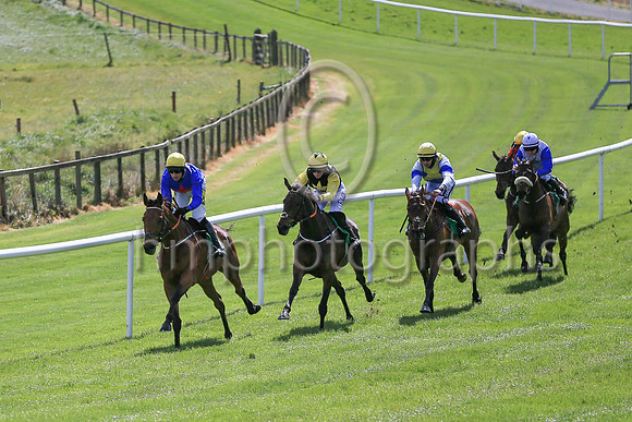 01st Gladiatorial  and ( 5 , blue, red star ) Trainer - N C Kelly , Owner - William M Brown