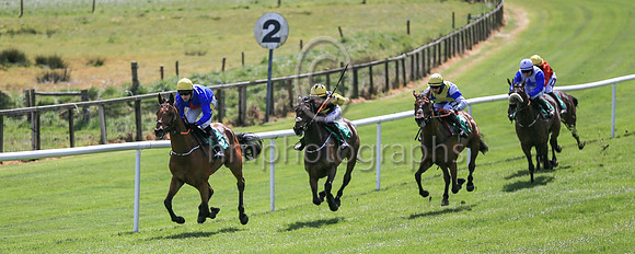 01st Gladiatorial  and ( 5 , blue, red star ) Trainer - N C Kelly , Owner - William M Brown
