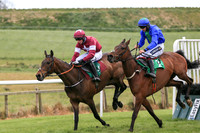 2021-05-07th - Downpatrick (hr) (8/23)