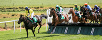 2021-05-07th - Downpatrick (hr) (8/23)
