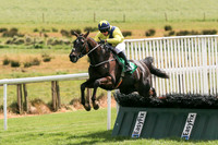 2021-05-07th - Downpatrick (hr) (8/23)