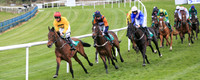 2021-05-07th - Downpatrick (hr) (8/23)