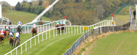 2021-05-07th - Downpatrick (hr) (8/23)