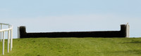 2021-05-07th - Downpatrick (hr) (8/23)