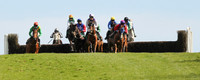 2021-05-07th - Downpatrick (hr) (8/23)