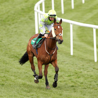 2021-05-07th - Downpatrick (hr) (8/23)