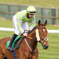 2021-05-07th - Downpatrick (hr) (8/23)