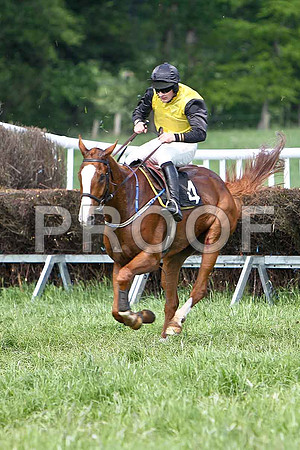 Fourth Race - Fourth Race - Dodgey Dream (4) 3rd, Rider M J O'Hare - CU2D9630-e