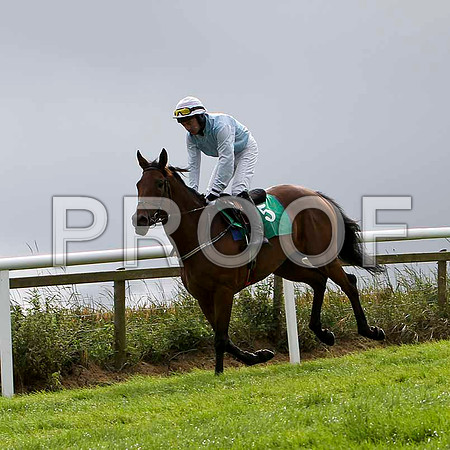 Cinderella Story - 5th , Jockey A P Thornton  - FT8E3862-e