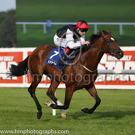01 Free Eagle and P J Smullen - - 01st (7 ,black, white sleeves, red cap black star ) Trainer - D K Weld