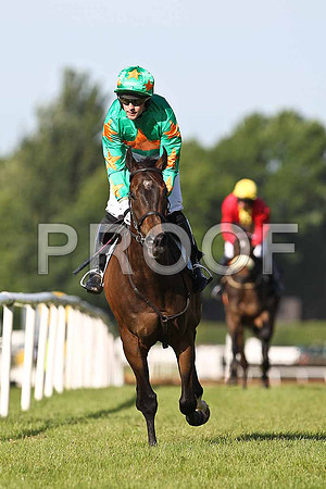 Baily Knight 14th Jockey M J Ferris- FT8E0947-e