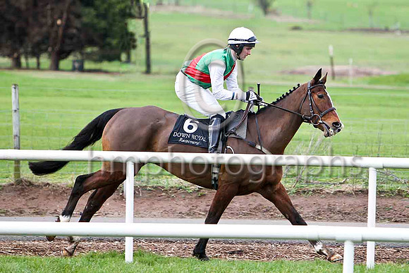 Sole Witness & Mr D A Fitzsimmons - Fell - FT8E9016-e