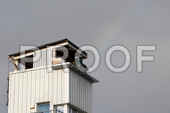 Rainbow over Downpatrick Tower -  FT8E5129-e