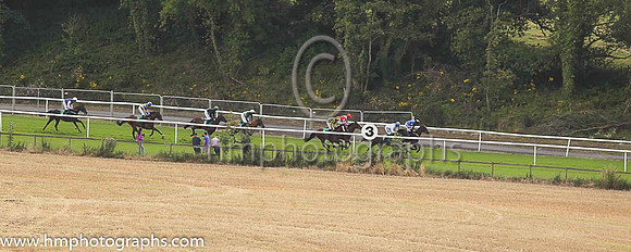 Racing down the hill at Downpatrick Races