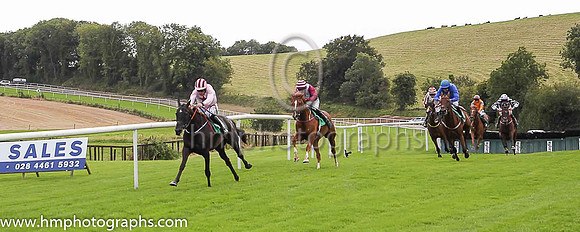 01st Westland Row and D N Russell ( 2 , pink, maroon star ) Trainer - G Elliott , Owner - Mrs Caren Walsh  John F Doyle