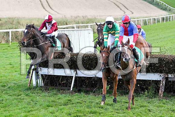 Robertstown Rover - 2nd from left leads - winner, One Fime Morning - 4th & McSwynes Bay 3rd -FT8E5045-e4