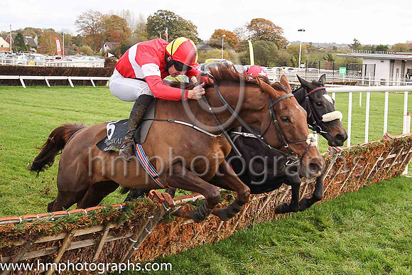 05th Rosshaven Lady and J S McGarvey ( 6 , red, white hoop ) Trainer - Joseph P O?Brien , Owner - Maurice G O?Brien