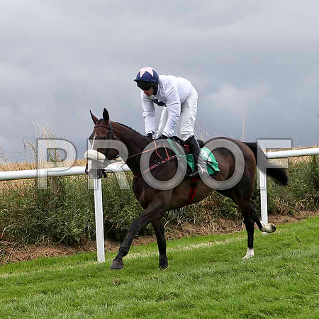 Esporao - Winner , Jockey Paul Carberry - IMG_9397-e